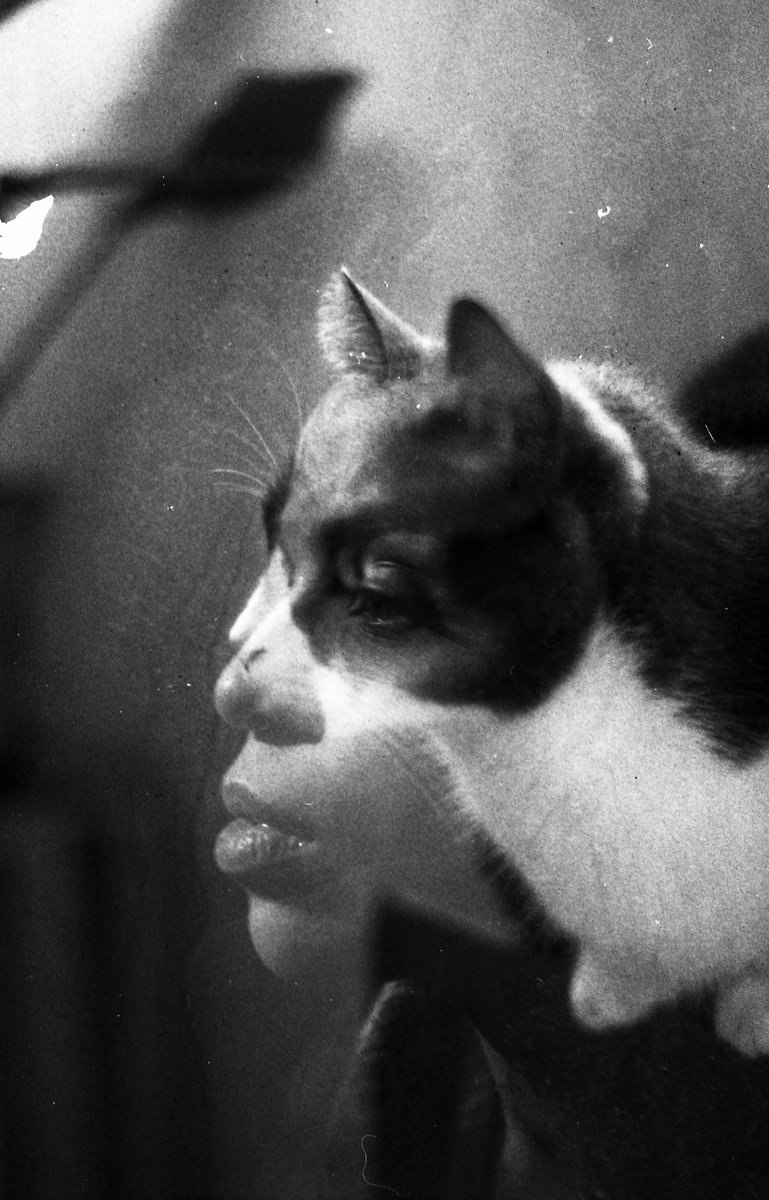 ¿Qué pasa cuando usás el mismo pedazo de película dos veces con tu amiga y tu gato? Bueno, esto. 

#analogphotography #filmisnotdead #doubleexposureonfilm