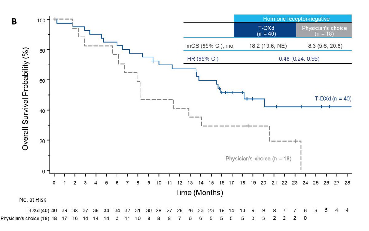 ErikaHamilton9's tweet photo. #DB04 #bcsm #HER2low 

Wow. For pts typically classified as having TNBC, PFS improved almost 6 months, OS improved by 10 months! 

HR 0.46 and 0.48 

 ⭐️TDXd for patients with low #HER2 expression is a big deal! ⭐️ https://t.co/xHVWnFyjTA