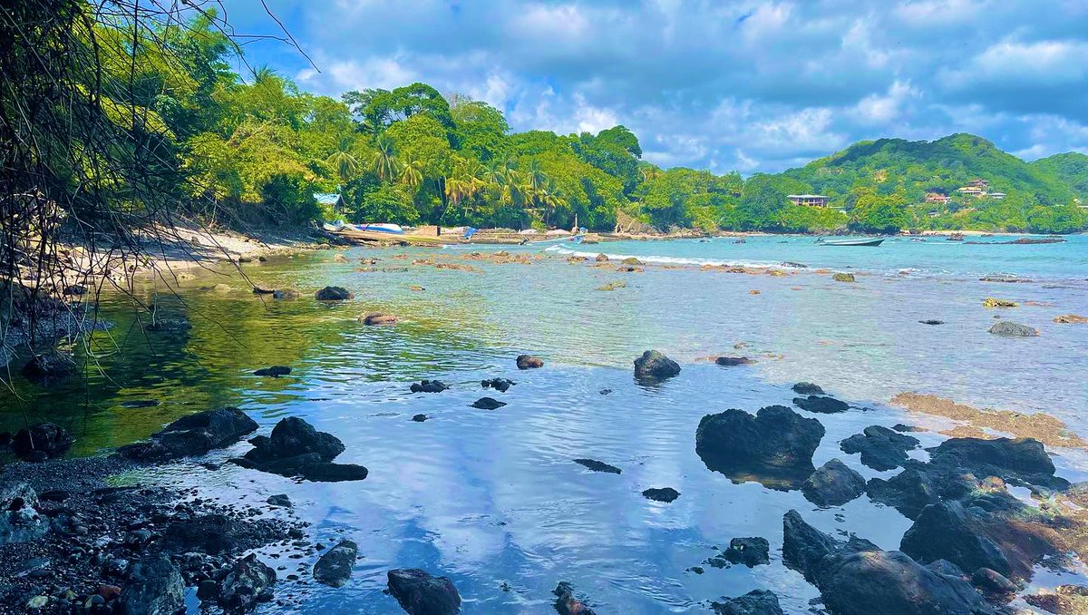 StantonBelford's tweet photo. The future site of the Toco 🇹🇹port will result in a 100 % loss of this coral reef ecosystem #OnlyOneEarth #WorldEnvironmentDay #WorldEnvironmentDay2022 #SaveOurReef https://t.co/rQE5WMjDS8