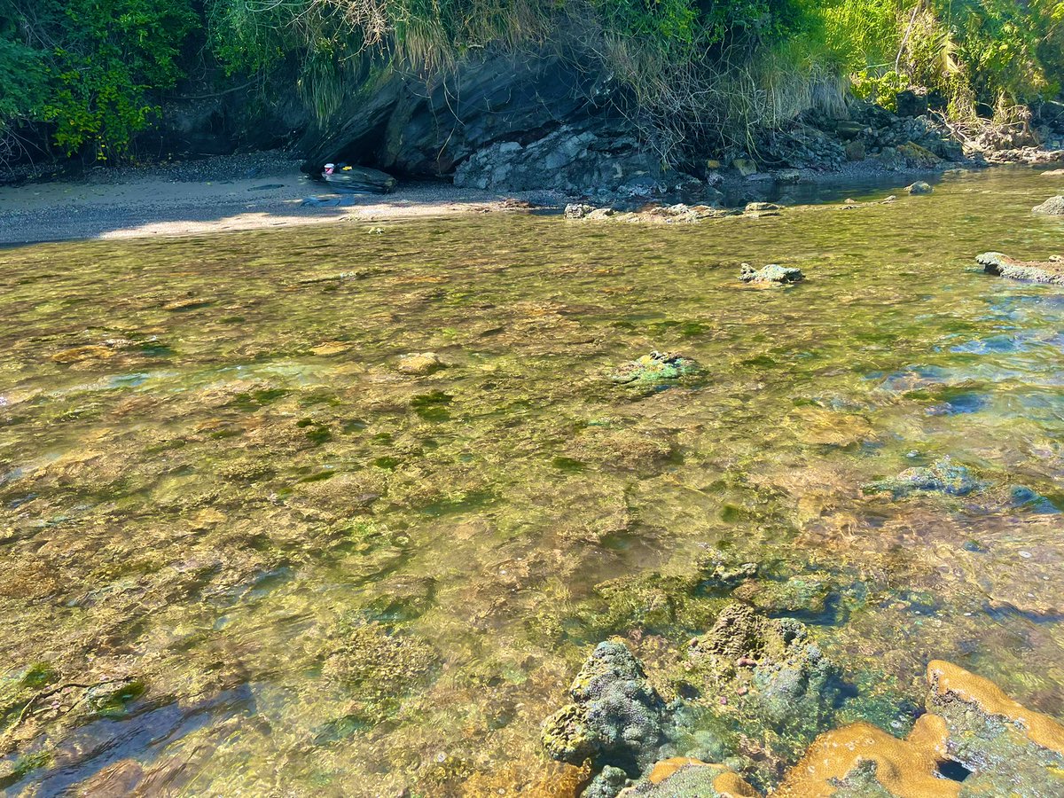 StantonBelford's tweet photo. The future site of the Toco 🇹🇹port will result in a 100 % loss of this coral reef ecosystem #OnlyOneEarth #WorldEnvironmentDay #WorldEnvironmentDay2022 #SaveOurReef https://t.co/rQE5WMjDS8