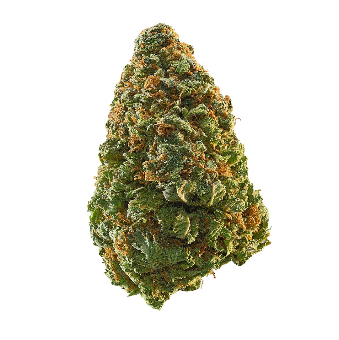 SmokingBC's tweet photo. Few compare to Green Crack’s sharp energy and focus as it induces an invigorating mental buzz that keeps you going through the day. A tangy, fruity flavor redolent of mango, it's a great daytime strain that may help smokers fight fatigue, stress, and depression. #NFTs #weed #NFT https://t.co/DIfy2omR4s