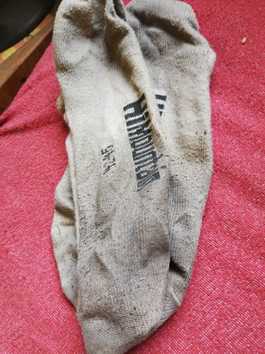 EmperorDominant's tweet photo. I need people in my life who are into dirty socks tbh 😩 https://t.co/cltsEBhmYJ