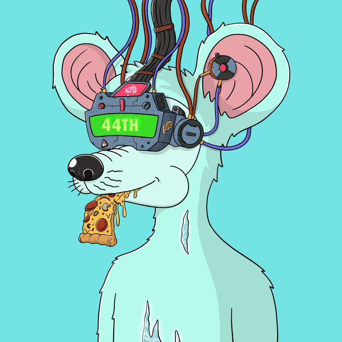 ethansym_'s tweet photo. @JRS_DeGod @MousInDaHous wont be under 10 SOL for long 👀🐭 https://t.co/FZSqHu01Dk