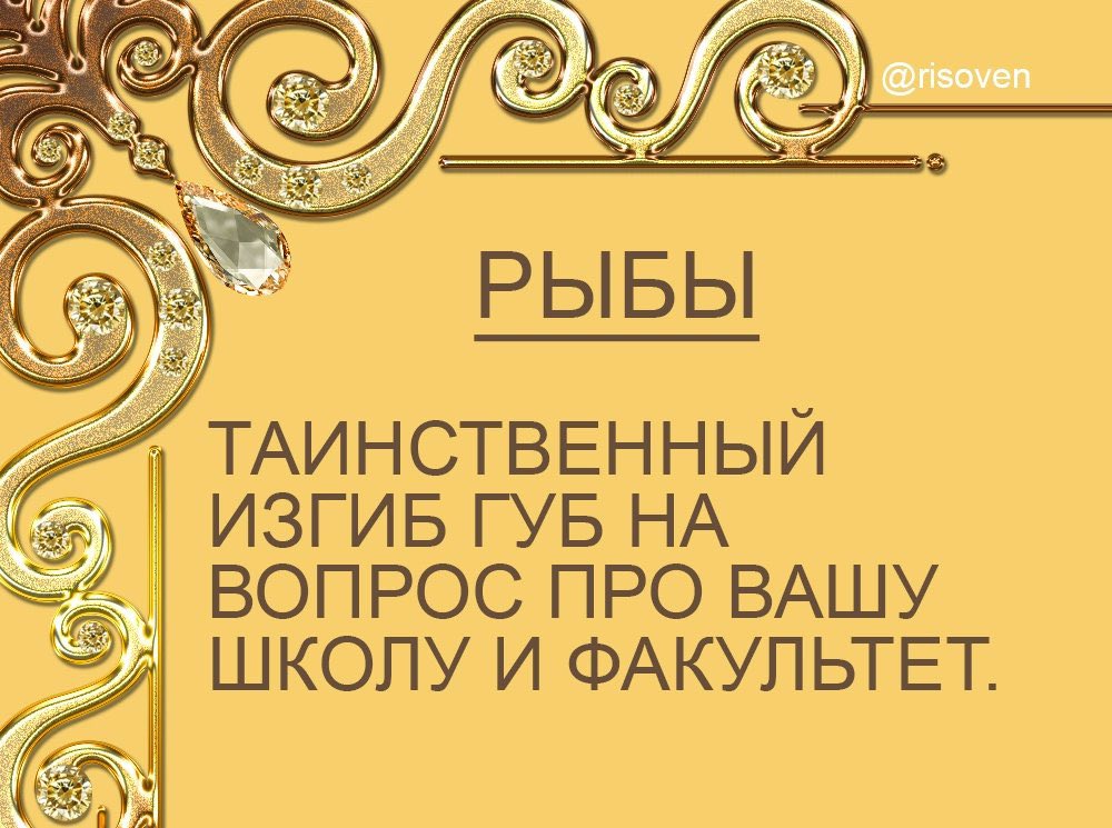 OlgaGentle's tweet photo. Что-то на интровертном 🌚 https://t.co/DkdCr4al82