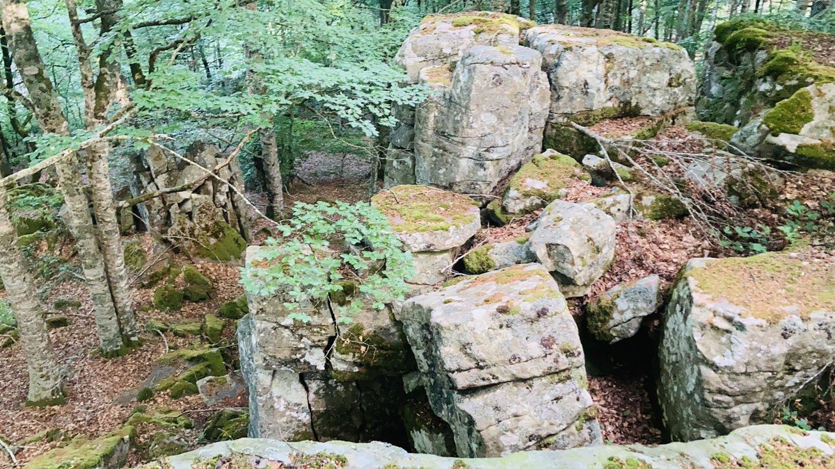 De estos bloques se fabricaban piedras para ruedas de molinos para moler el grano. Todavía quedan restos de esta antigua cantera en  ⁦<a href="/garaioa_aezkoa/">Garaioa</a>⁩ y no muy lejos del famoso mirador de zamariain. Es un rincón precioso entre hayas. ⁦<a href="/pirineonavarro/">Pirineo navarro</a>⁩ #zamariain