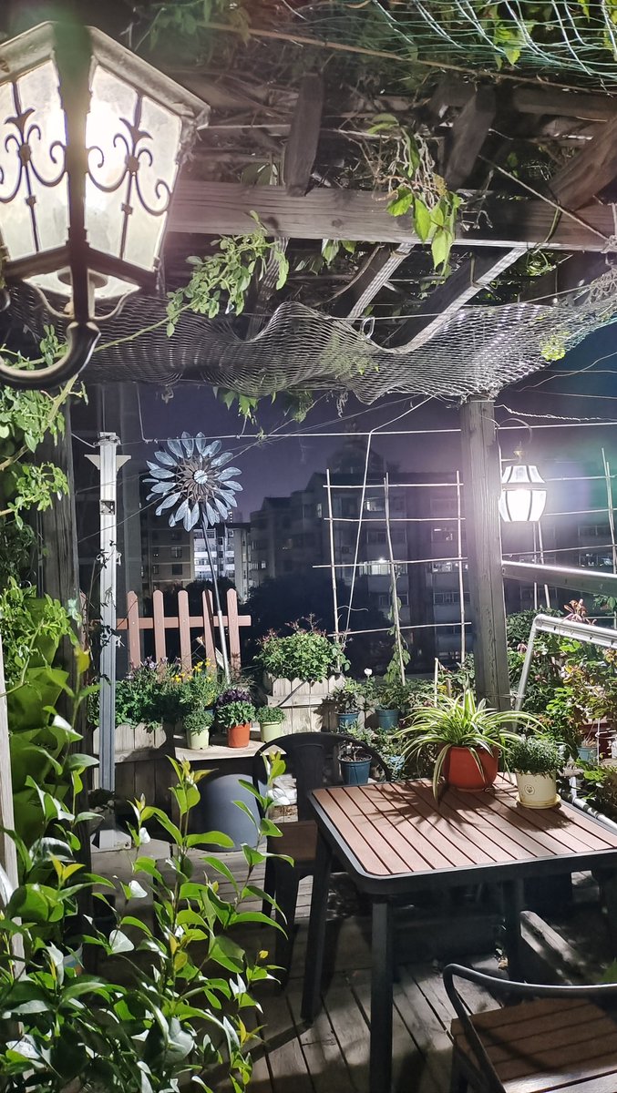 HolyWingWings's tweet photo. ——recently——busy——(¦3[▓▓]
(No new picture send, here picture is my mother's beautiful garden.)x https://t.co/wJ3pjrs6oB