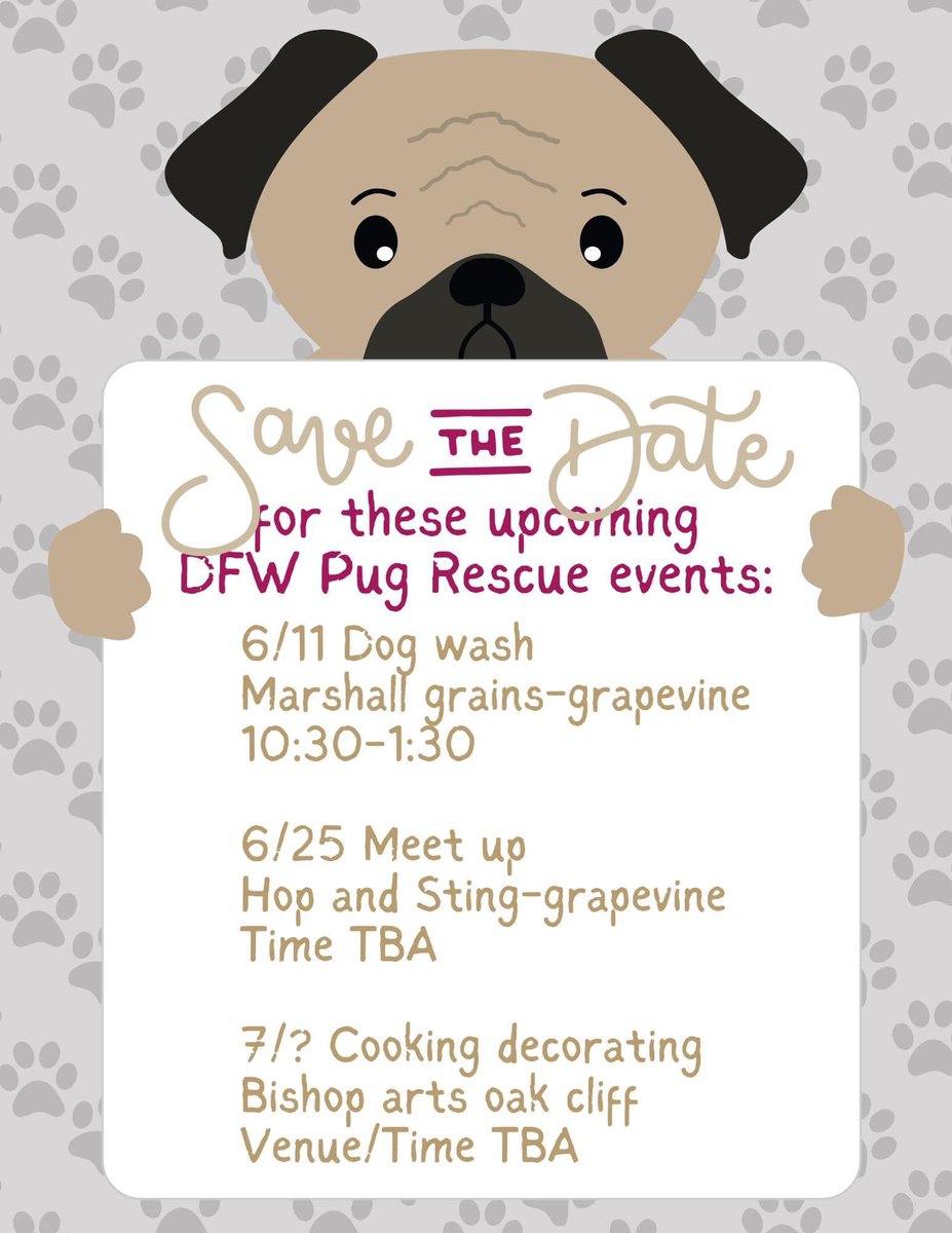 DFWPugRescue's tweet photo. https://t.co/n54Zw4jSB6