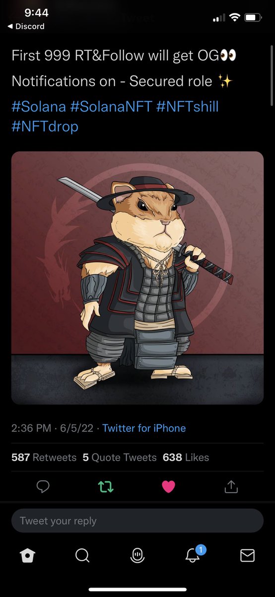 Flufflythebearr's tweet photo. @Sol_Hamsters https://t.co/YWYrBjV31Q
