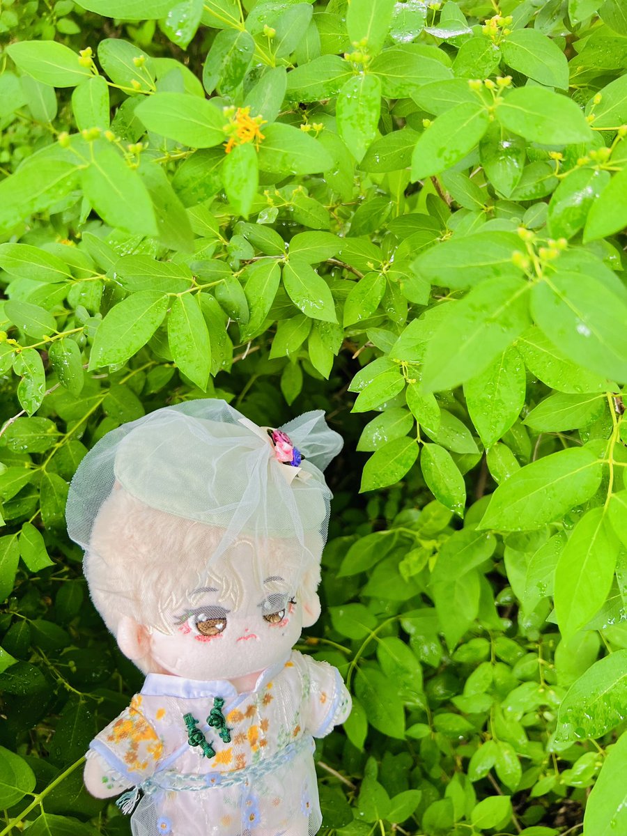 Bangtan_Chuu's tweet photo. Summer is coming ☀️🌿 https://t.co/wF4LergDdR