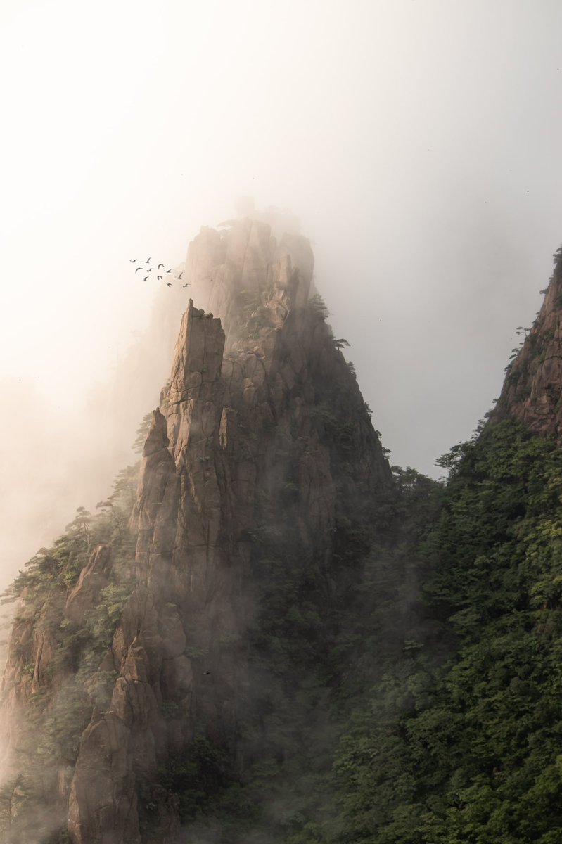 Nardus Smith tweet media