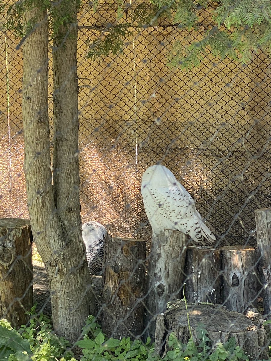 旭山動物園からの〜
道の駅スタンプラリー！
とうま！スイカの名産地
東川道草館！隣のmont-bellが楽しいw
あさひかわ！ラーメン屋しかやってない！