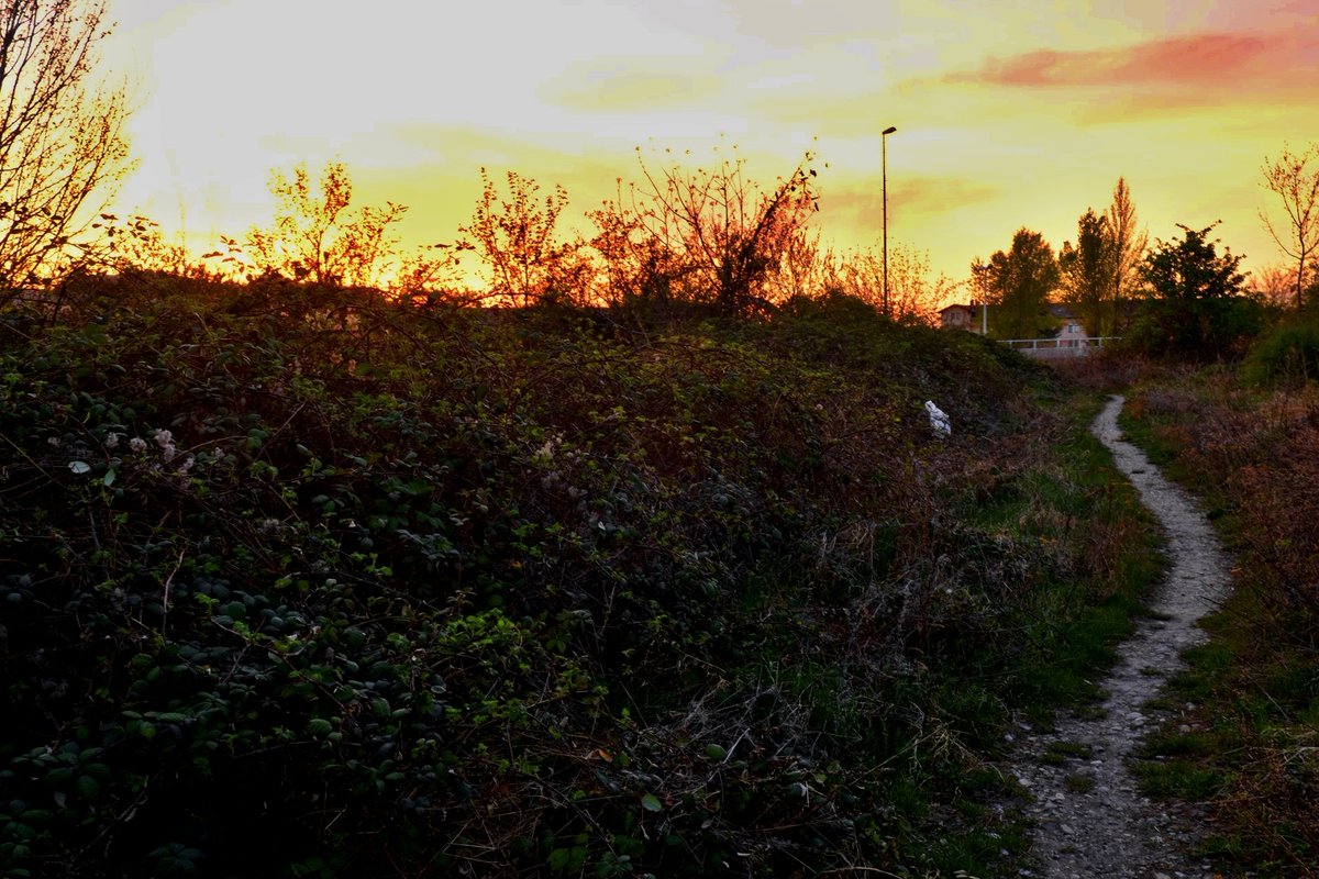 apex_archive's tweet photo. `Is there a light that never goes out?´
#RedHell #wasteland #Stadtansichten #Brachland #urbanphotography https://t.co/n4XJ2PxwNv
