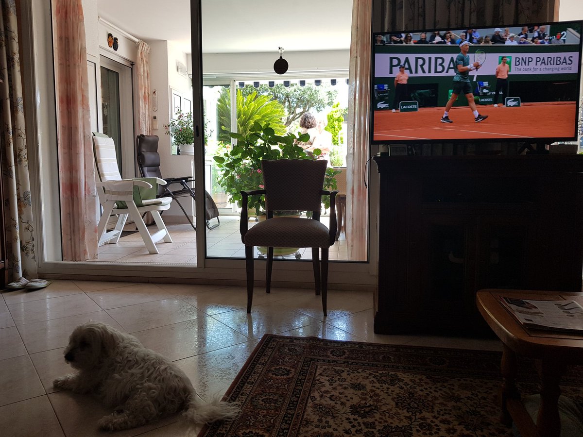 HeleneWithOneL's tweet image. Willy said "nope" to watching tennis with me.
