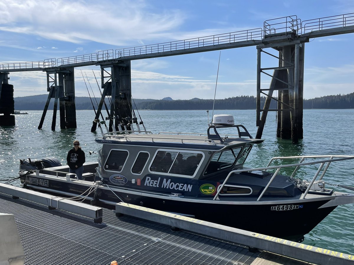 Derek Shane tweet media