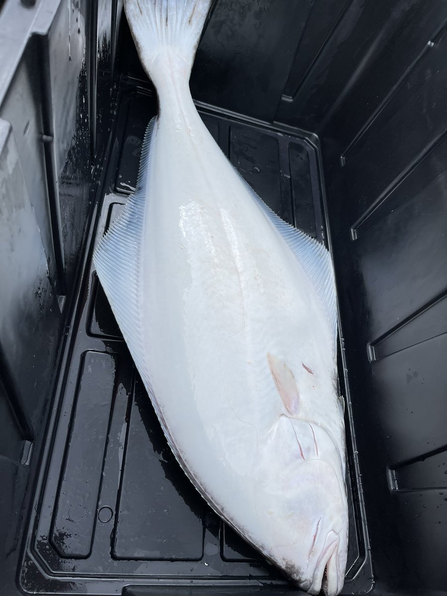 Derek Shane tweet media