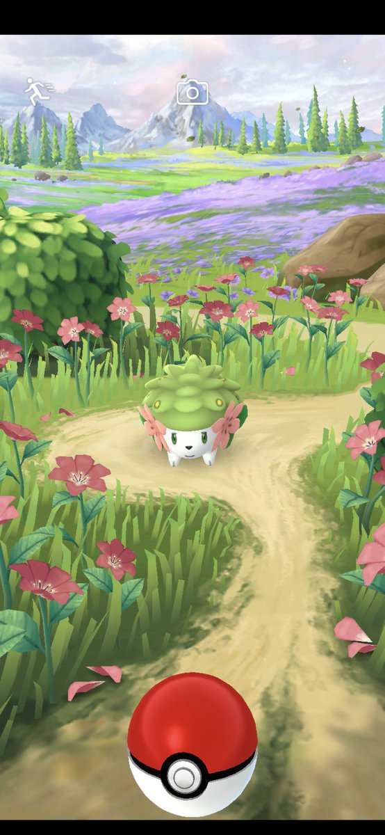 a2_panther's tweet photo. @NianticLabs What a cutie 🥰❣️😘😘 #shaymin   #PokemonGOFest2022 https://t.co/L2DsjOK3Hu