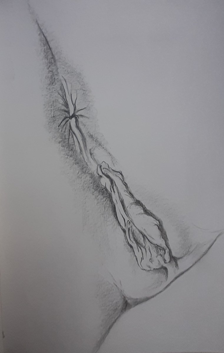 #eroticart #drawings #art #ArtistOnTwitter #woman #nude #Girls  #voyeurweb #nudists #Fashionista