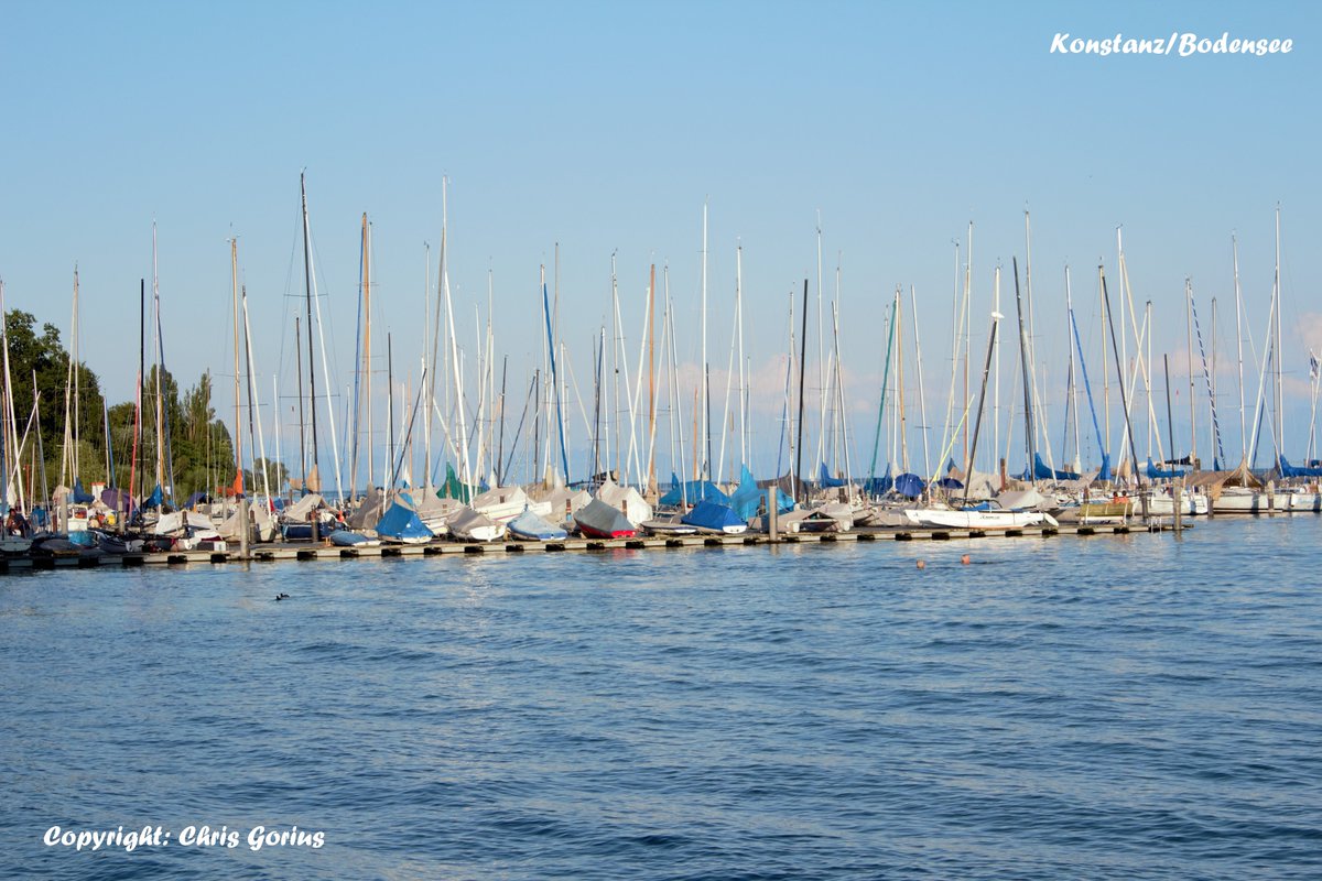"Ohne Kunst würde die Rohheit der Realität die Welt unerträglich machen".

George Bernard Shaw