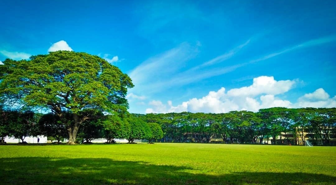 Lewy🍭 tweet media