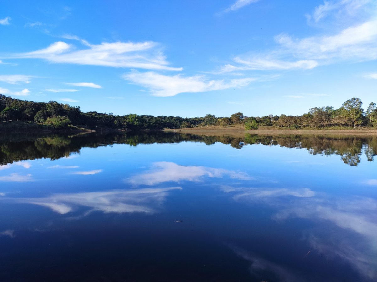 Lewy🍭 tweet media