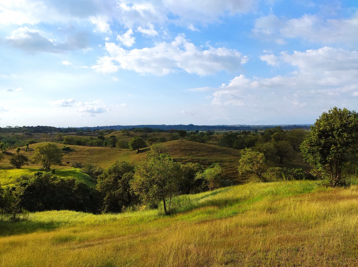 Lewy🍭 tweet media