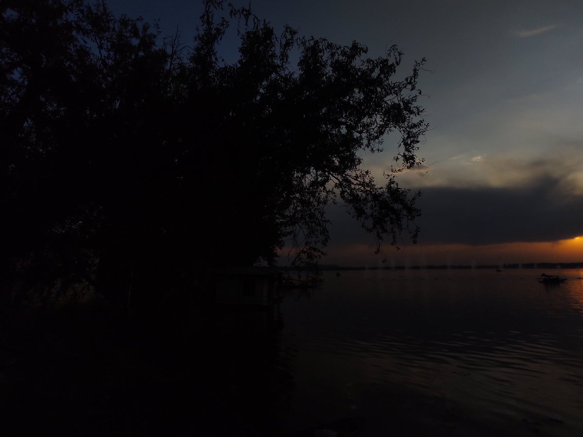 T 🇵🇸 tweet media