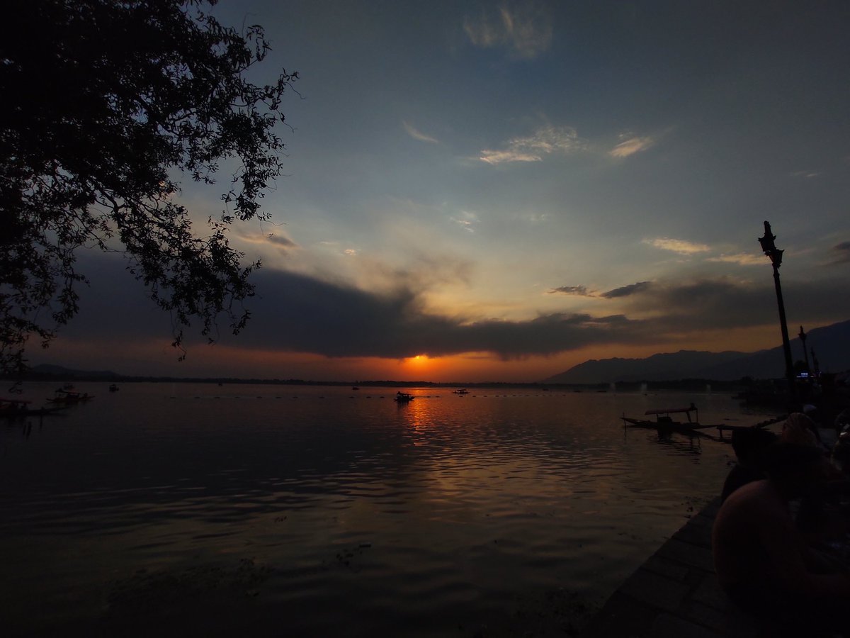 T 🇵🇸 tweet media