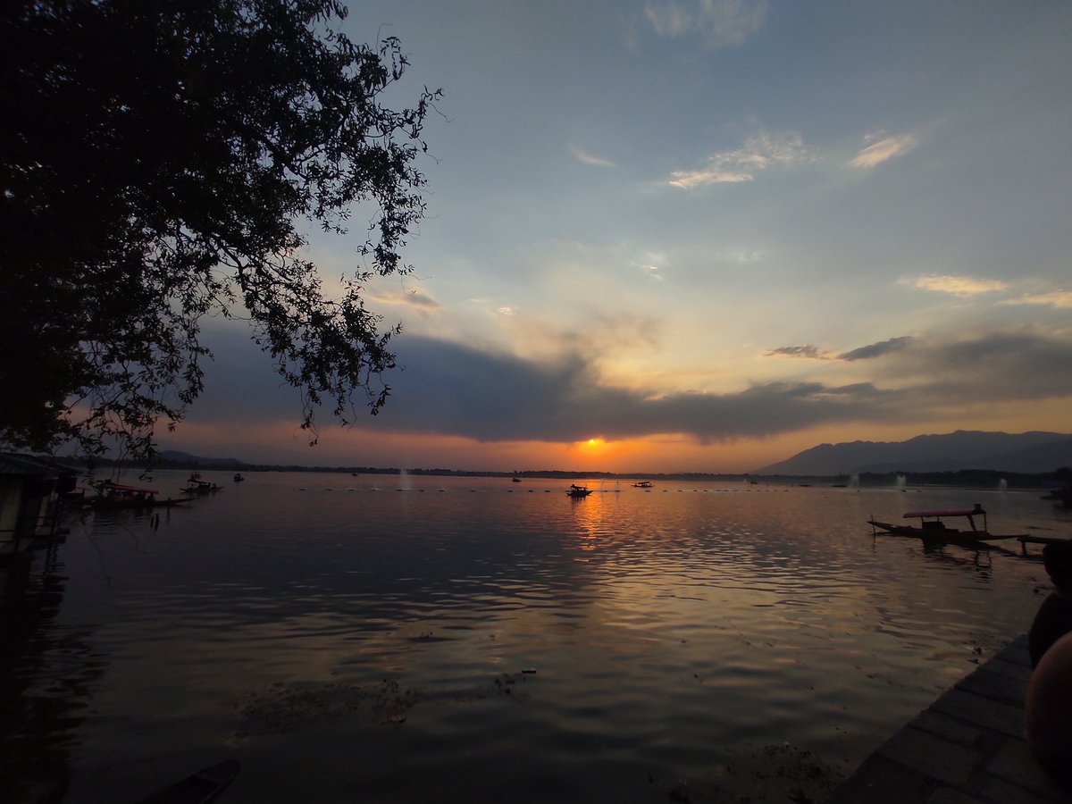 T 🇵🇸 tweet media