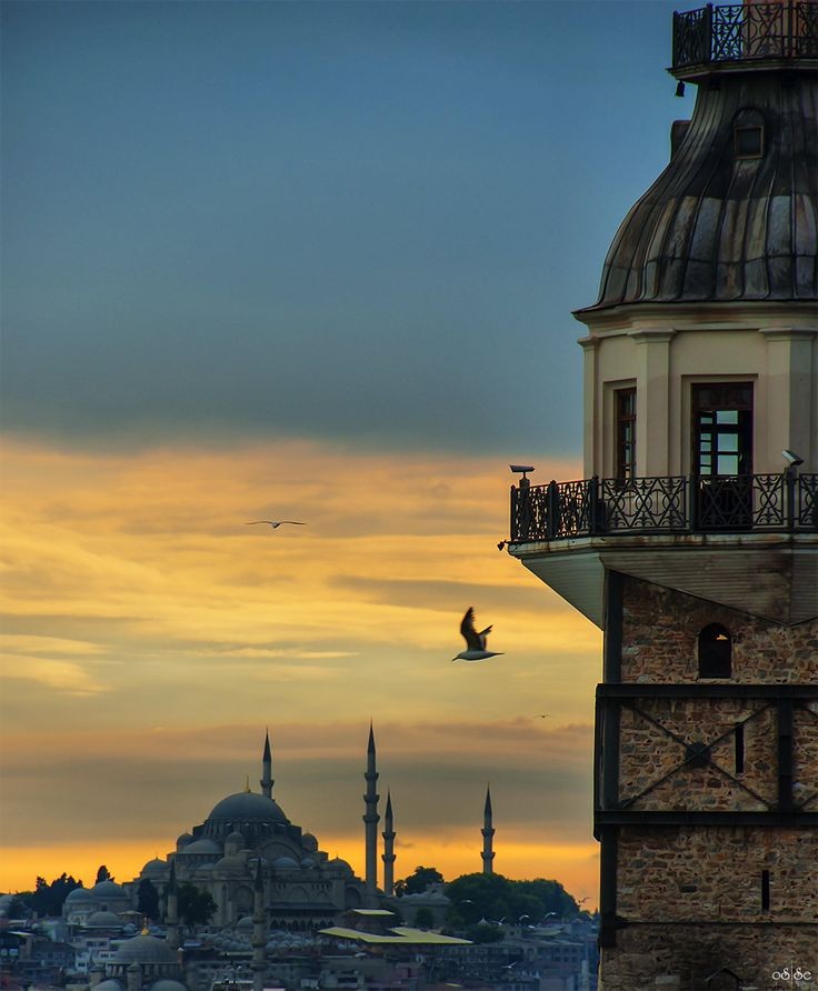 ''Pes ettiğimden değil, olmayacağını gözüme soka soka gösterdiğin için vazgeçtim.'' 

Franz Kafka