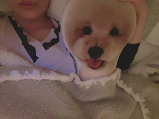 おやすみなさい。 またね🌼 https://t.co/0WicSdVFCL<a href="/tag/%E6%96%B0%E3%81%97%E3%81%84%E3%83%97%E3%83%AD%E3%83%95%E3%82%A3%E3%83%BC%E3%83%AB%E7%94%BB%E5%83%8F"class="tags"><span>#新しいプロフィール画像</span></a>