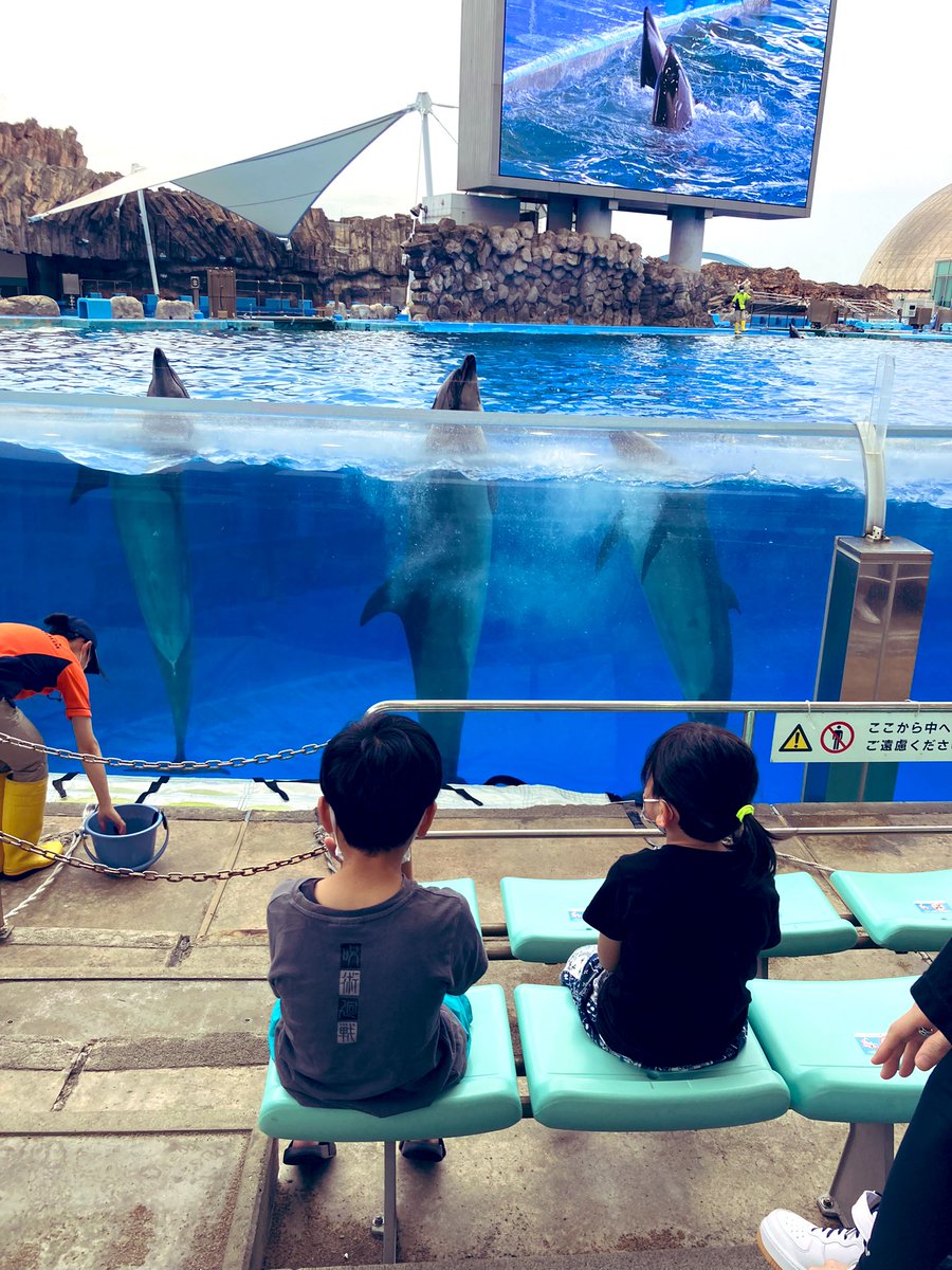 きてき 7ms3tgpt4bp9lvc Twitter