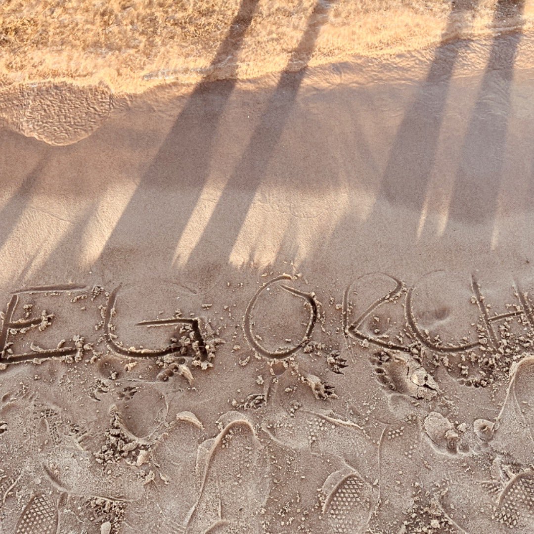 Elk Grove HS Orchestra tweet media