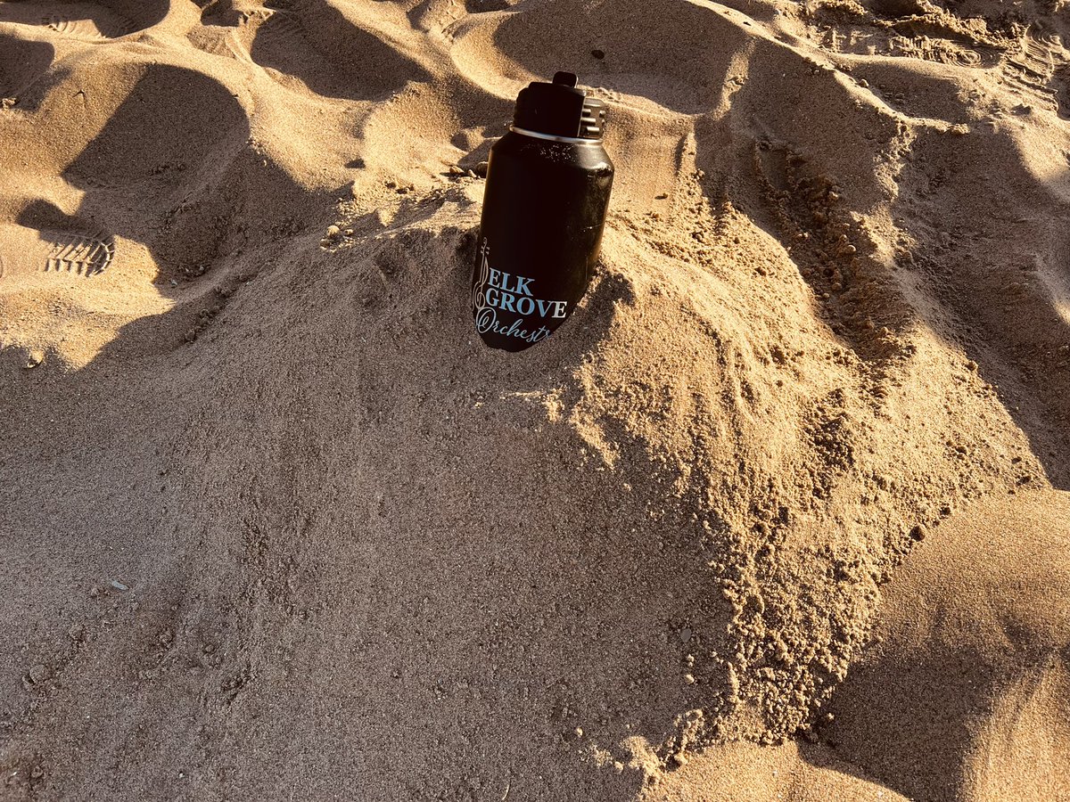 Elk Grove HS Orchestra tweet media