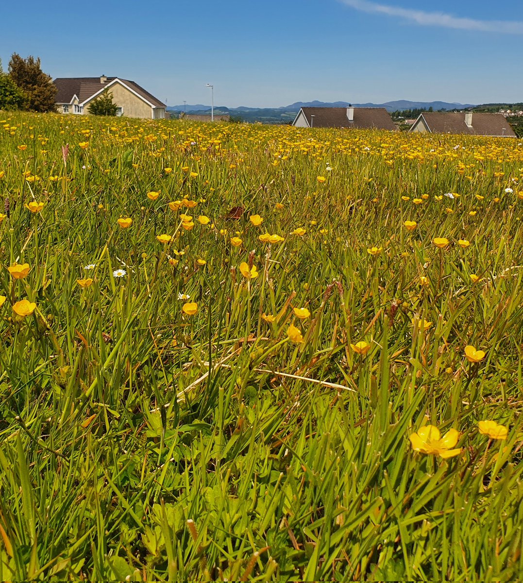 Donegal County Museum tweet media