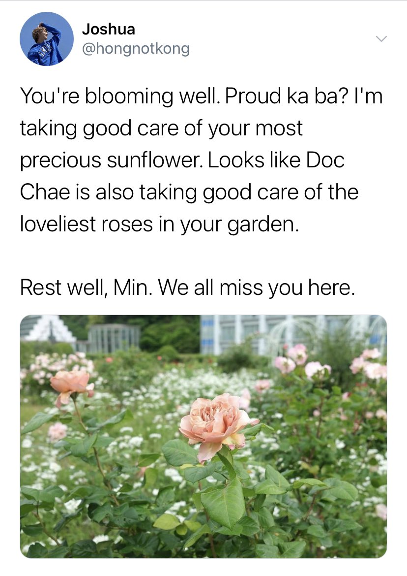 fromminty's tweet photo. 「 blooming with you - snippet 🌻」

— the youngest lee from the town of lucia is missing his most makulit kuya whose other best friend comes to the rescue.

[a one twt filo au about seoksoo from withering with you #witheringKH #bloomingSS] https://t.co/AYvZgpBrjq