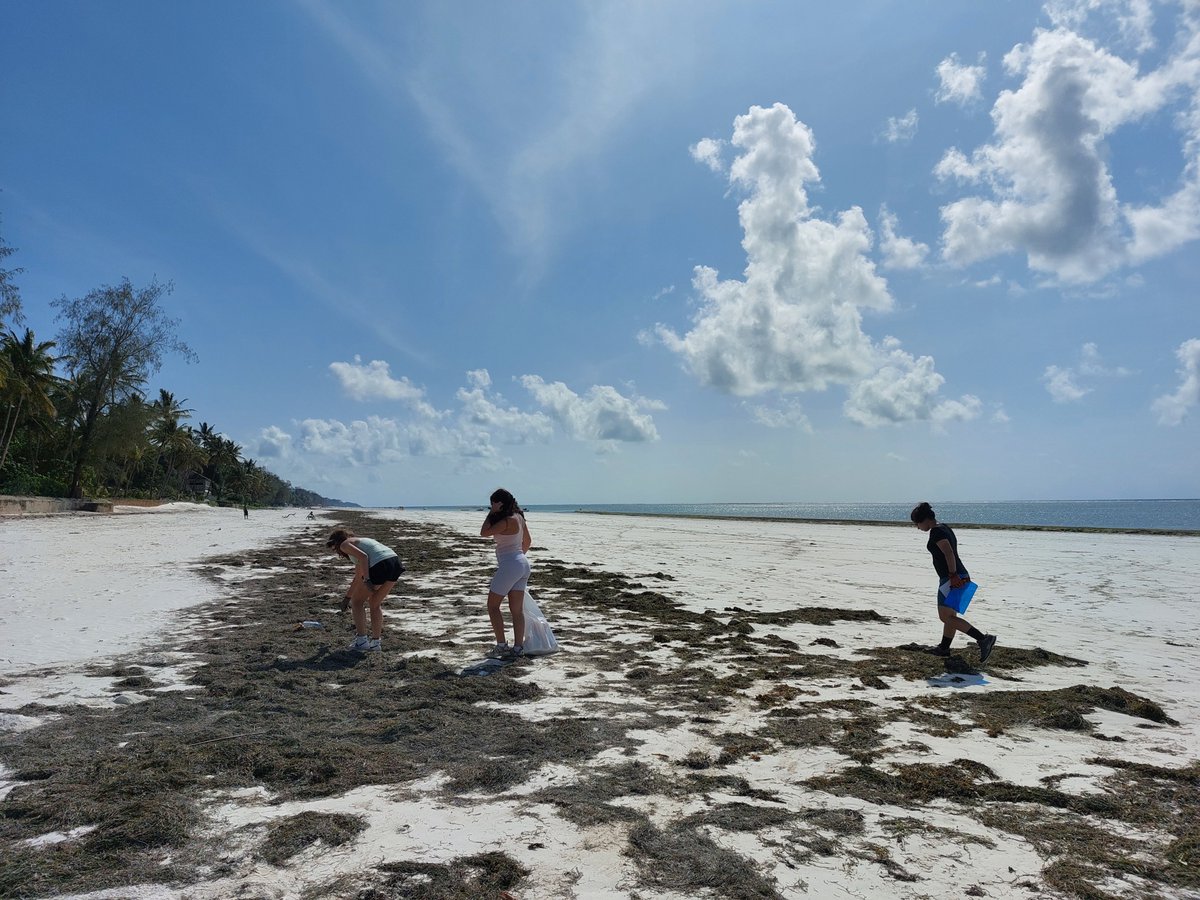 diani_safari's tweet photo. This #WorldEnvironmentDay, let's unite to erase our mistakes and save the blue.
Remember it’s Us vs Pollution, not Us vs Environment!

A big thank you to @CESKenya for giving our earth its therapeutic spa day.
#safaribeachdiani  #beachcleanup
#keepingitblue https://t.co/O54ryXLhgW