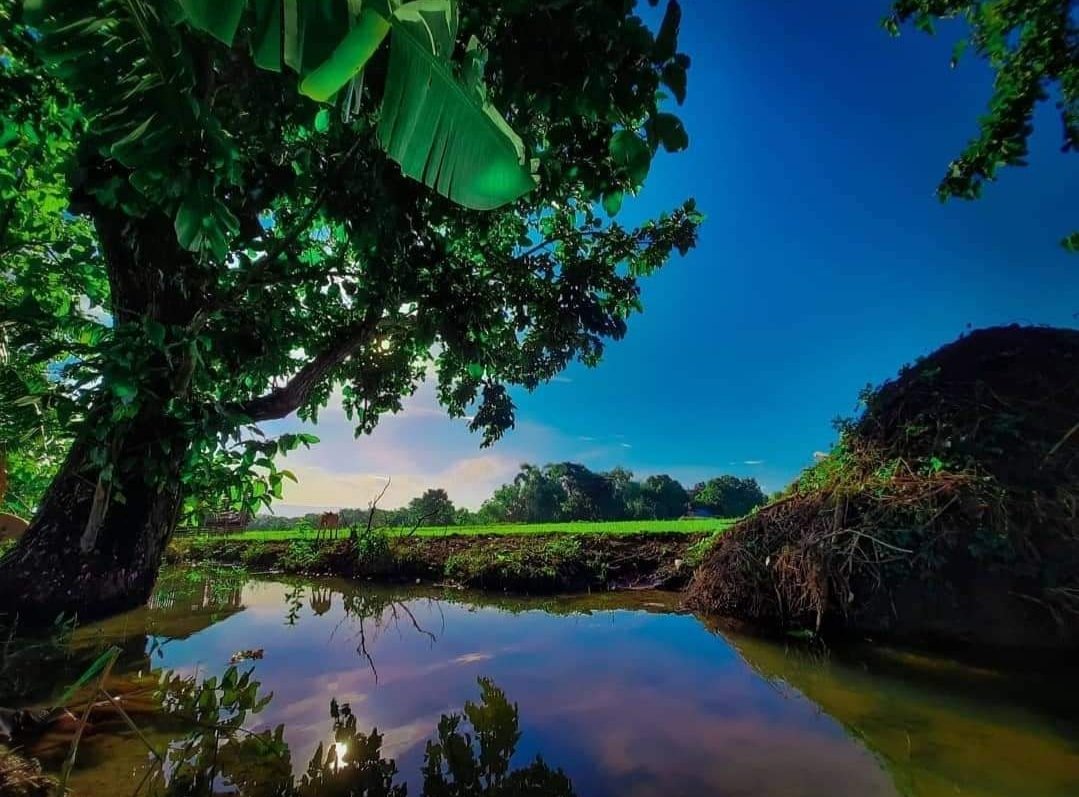 Lewy🍭 tweet media