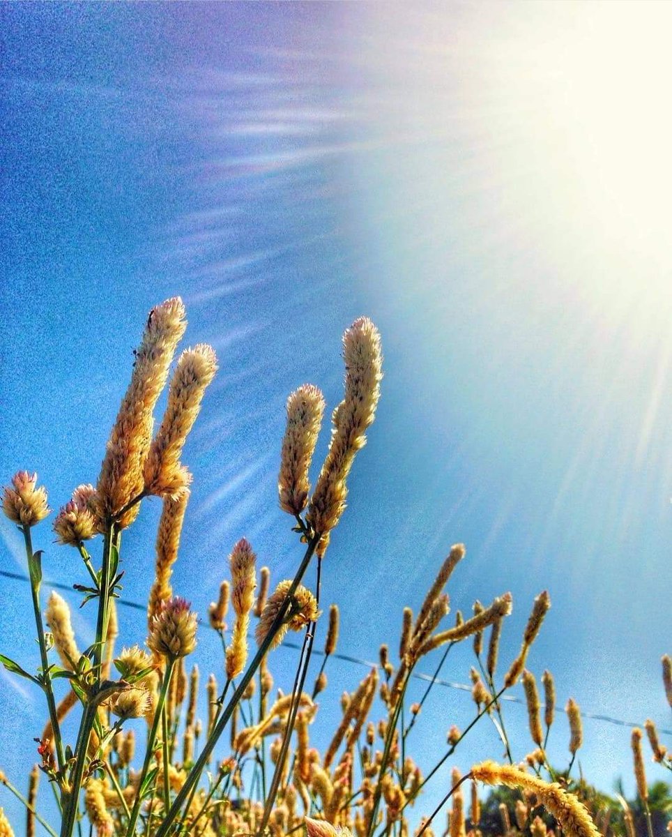 Lewy🍭 tweet media