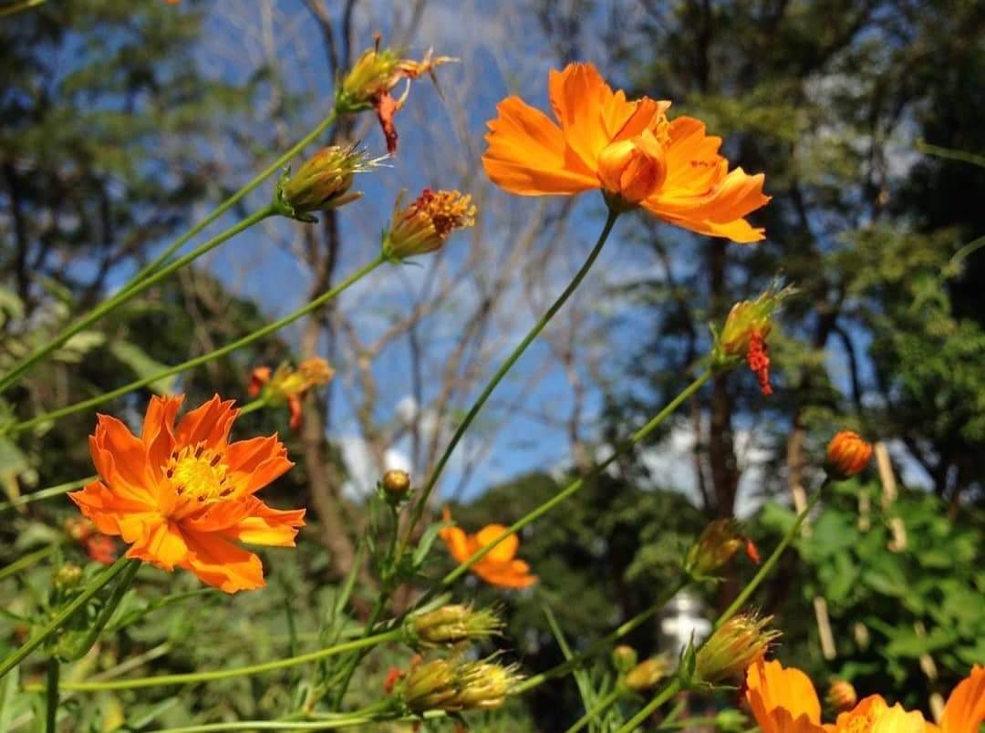 Lewy🍭 tweet media