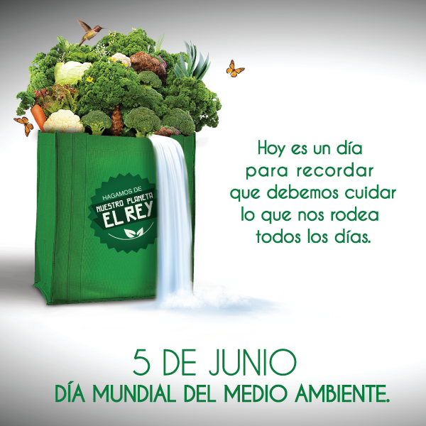 Cuidar el medio ambiente es tarea diaria. Nunca debemos dejar de hacerla
#JuventudEnVerde
#ReJACEnAcción