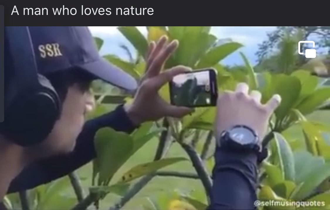 PIYALIBH's tweet photo. The Man who Loved nature truly…. 

@itsSSR ❤️

Sushant Love For Nature 🪴❤️ https://t.co/zH9urSLjMH
