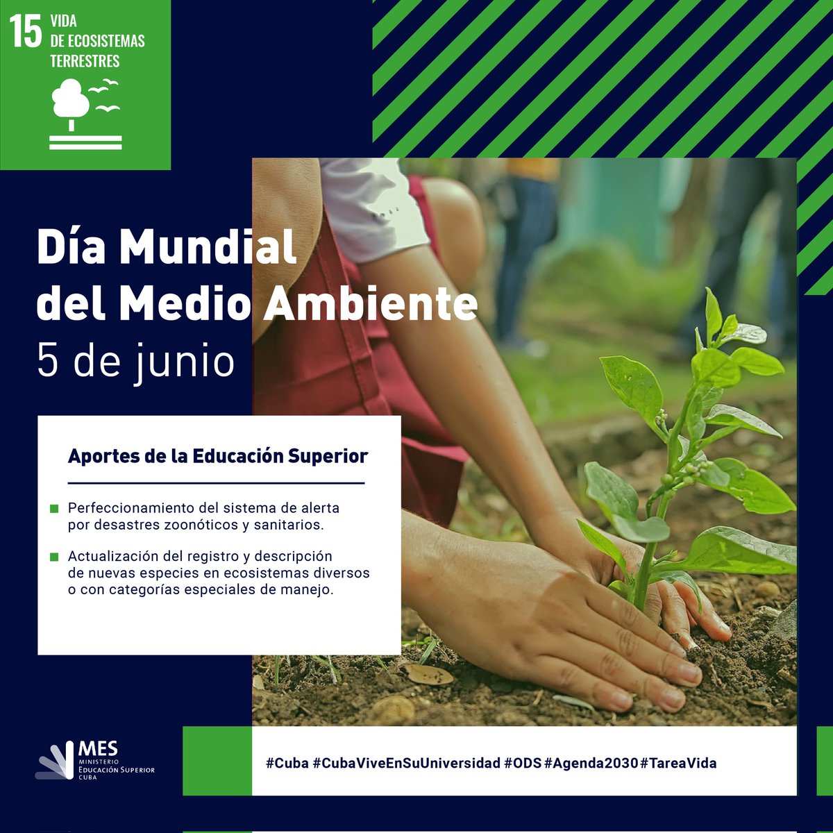 En el Día Mundial del #MedioAmbiente 🌱 sumemos esfuerzos y acciones para cuidar la casa de todos, porque vivimos en #UnaSolaTierra.
Desde nuestras instituciones de educación superior aplicando la ciencia e innovación aportamos al cuidado y protección de la casa de todos