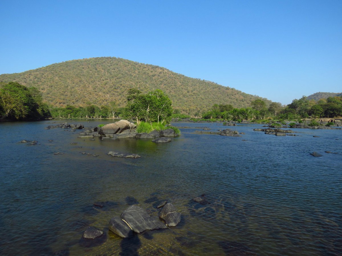 FTTFIndia tweet media