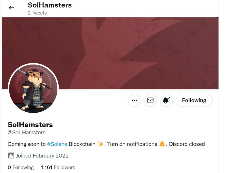 js420_'s tweet photo. @Sol_Hamsters lets goo https://t.co/5fy3iQbfuA