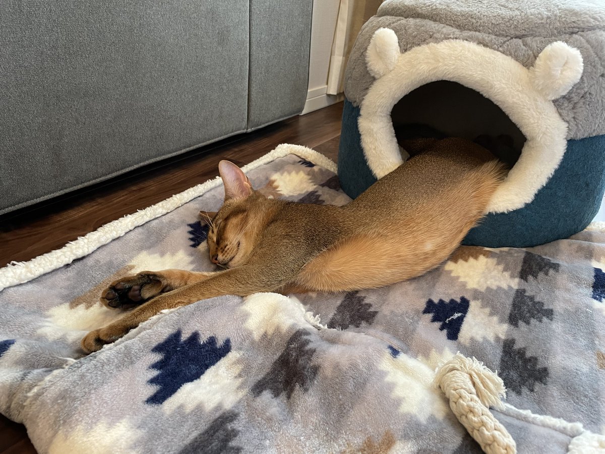 寝相は昔より良くなったかな…。