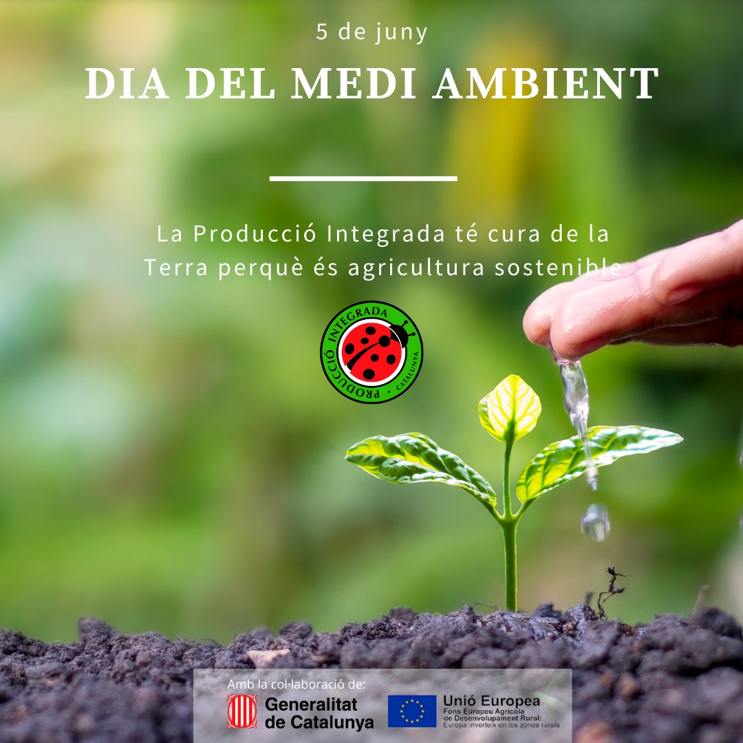 pintegrada's tweet photo. El 5 de juny és el Dia Mundial del Medi Ambient.☘️☘️
La Producció Integrada🐞 és agricultura sostenoble que té cura de la Terra i del nostre entorn.

#diamediambient #producciointegrada @marieta🐞 #agriculturasostenible #sostenibilitat #mediambient https://t.co/fs7VjeY1GN