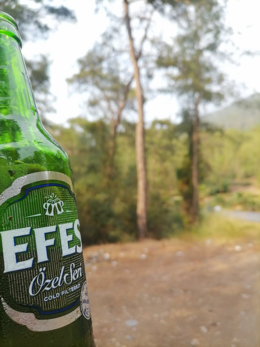 Buğün Pazar Orman Ve Bira 🤩