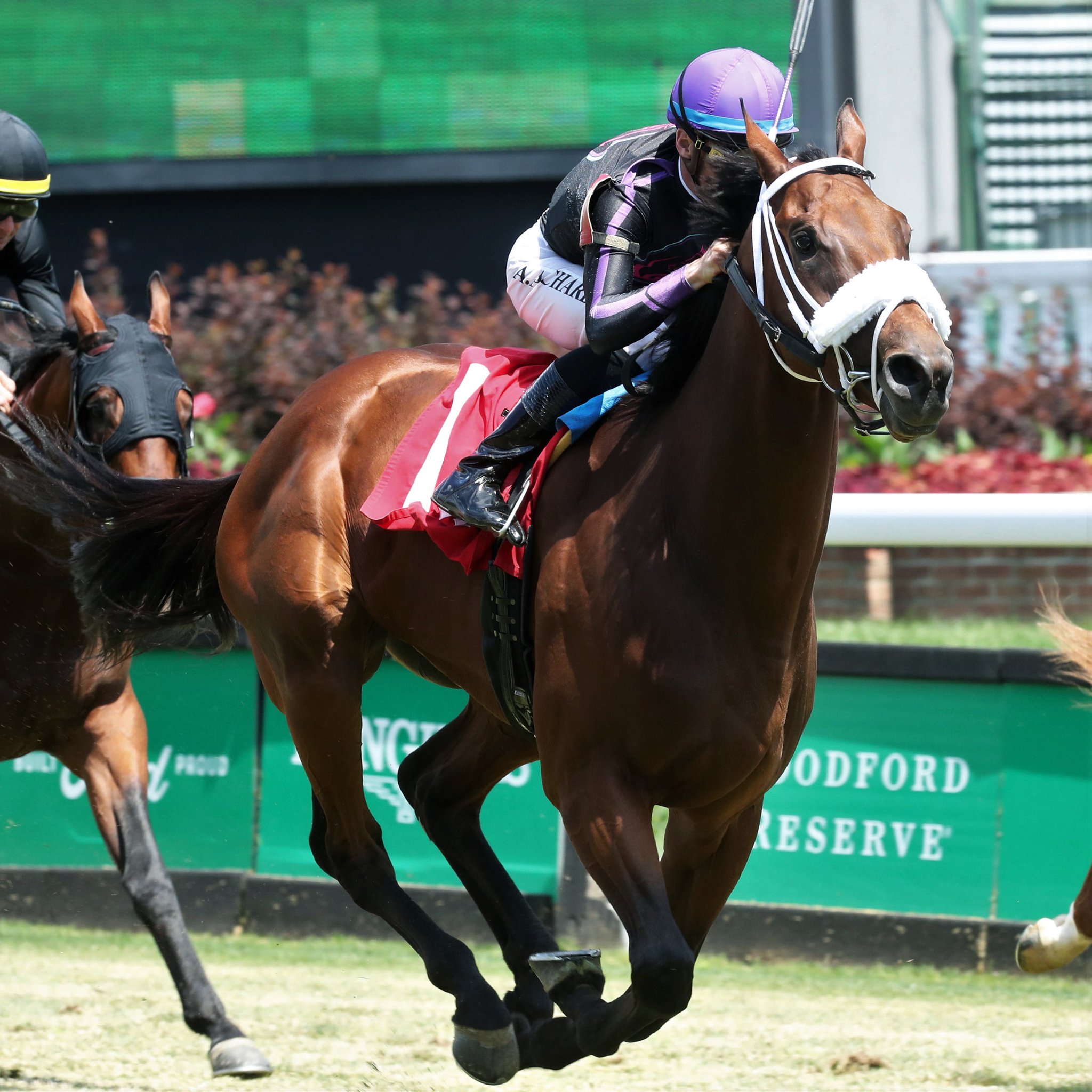 Entries Churchill Downs Today - 3ldz7g5