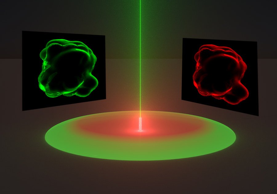QPD_Lab (@qpd_lab) on Twitter photo Happy to share that our paper 'Protein Mobility Measurements through Oxidative Green-to-Red Photoconversion of EGFP' has just been published in <a href="/JPhysChem/">The Journal of Physical Chemistry</a> ! <a href="/MSU_1755/">Lomonosov MSU</a> pubs.acs.org/doi/10.1021/ac… Happy to share that our paper 'Protein Mobility Measurements through Oxidative Green-to-Red Photoconversion of EGFP' has just been published in <a href="/JPhysChem/">The Journal of Physical Chemistry</a> ! <a href="/MSU_1755/">Lomonosov MSU</a> pubs.acs.org/doi/10.1021/ac…