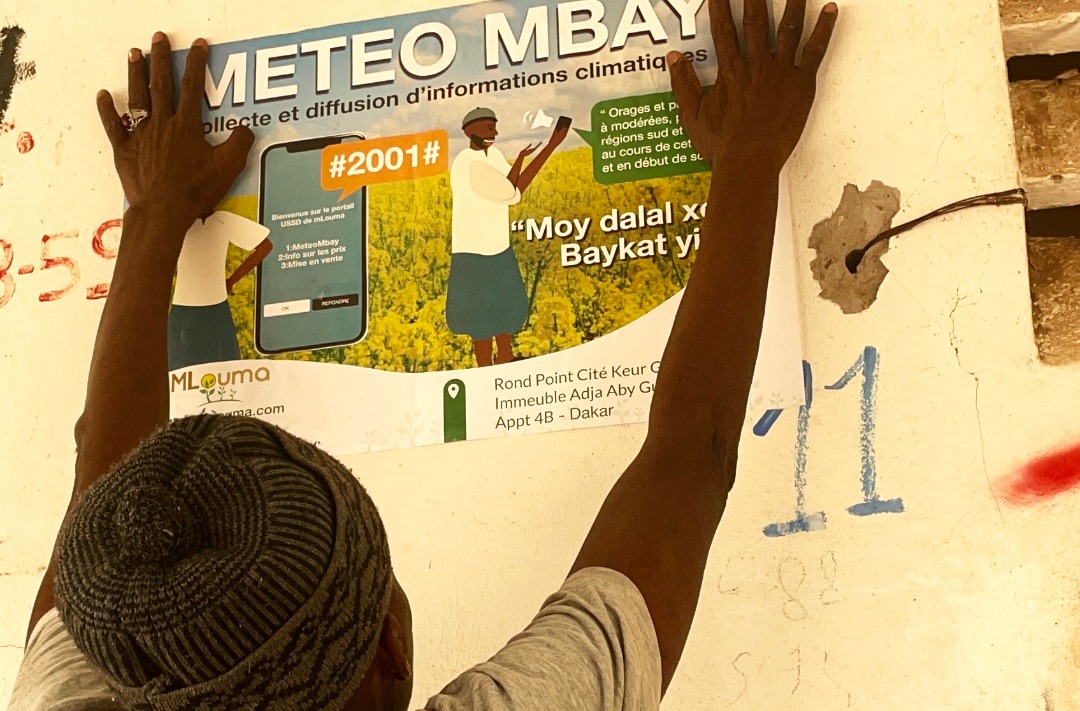 mlouma_sn's tweet photo. Mlouma à l’assaut des Loumas du Sénégal : Focus Mabo et Mbirkilane🚚🚚
La team s'est rendu aujourd'hui à Mabo et Mbirkilane, des localités situées à quelques kilomètres de kaffrine dans le cadre de la sensibilisation sur l'utilisation de METEO MBAY.
#mlouma #moy #dolel #mbay #mi https://t.co/7xaDtHNo1H